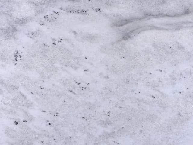 Arctic White Marble slab