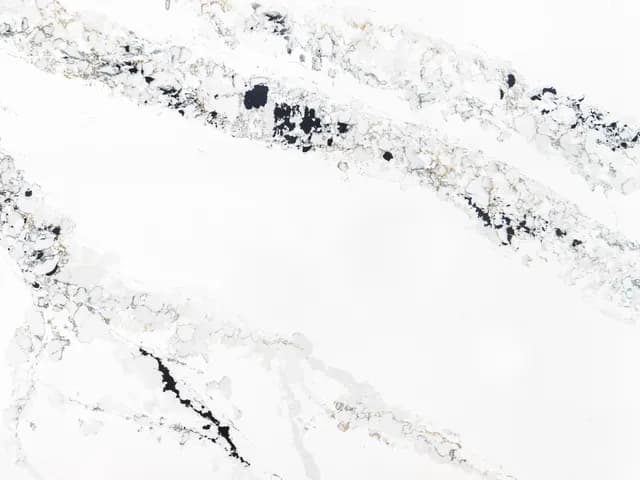 Calacatta Tesoro MODA Quartz slab