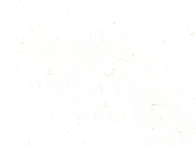 Carrara Prima Gold MODA Quartz slab