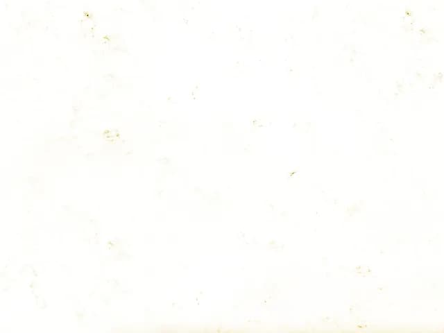 Shadow Gold MODA Quartz slab